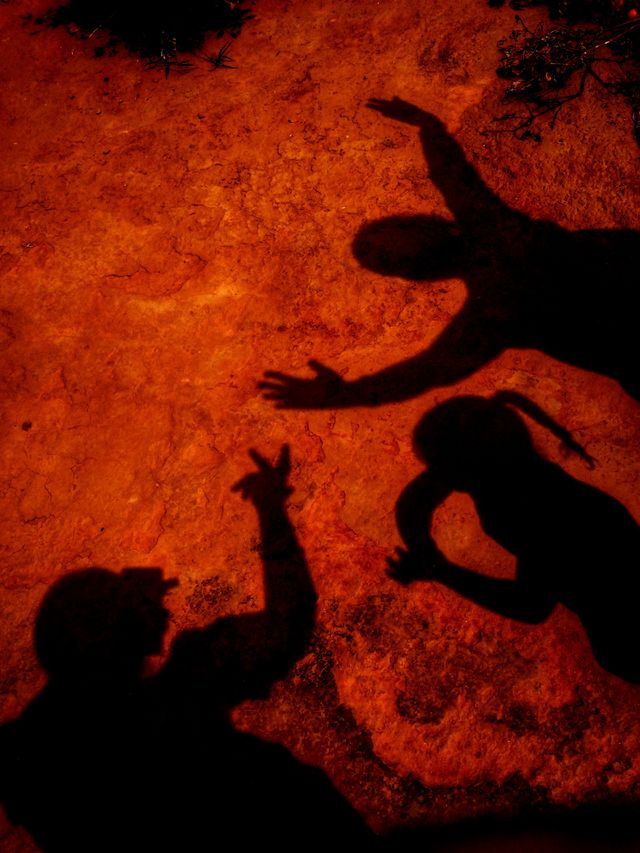 Looking for Shadows