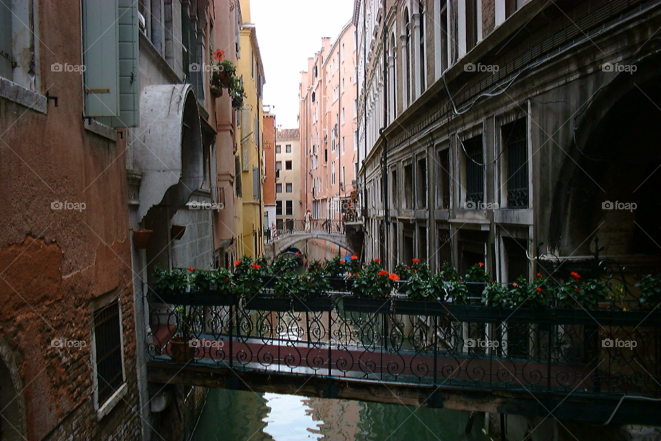 flowers italy bridge canal by Pahars