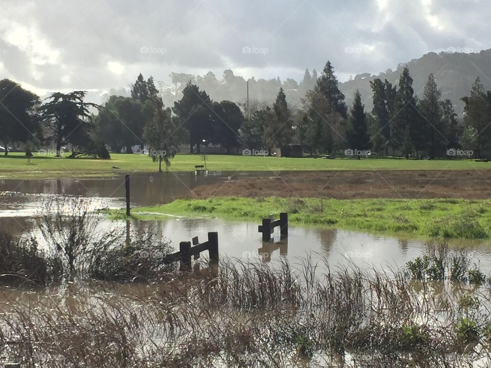 flooded park