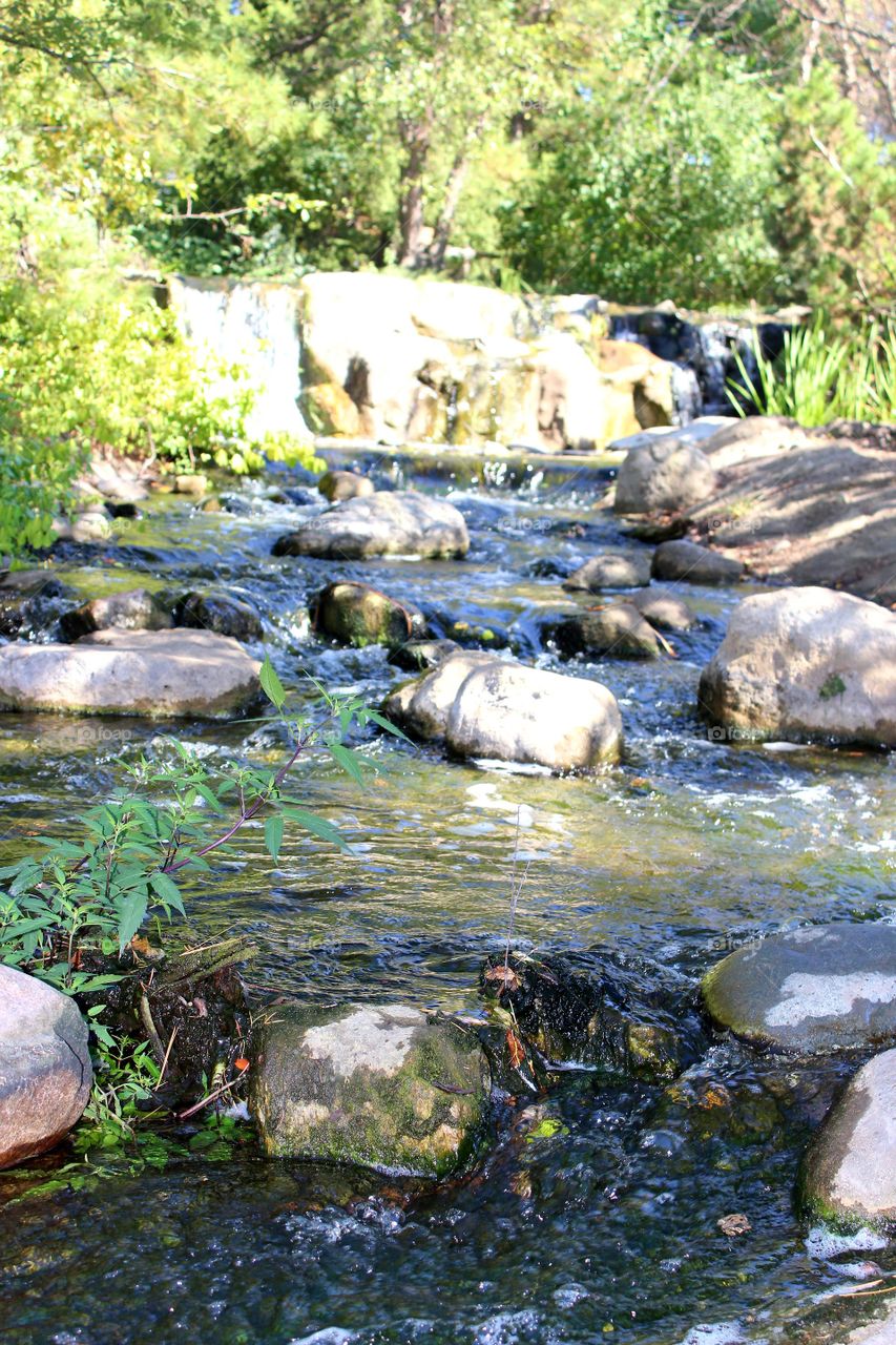 Rocky stream