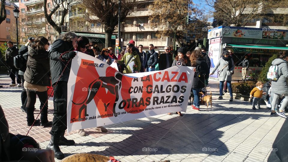 Manifestación NO A LA CAZA (1)