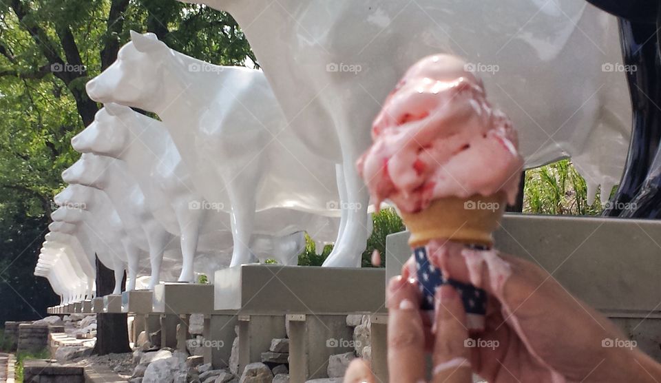 Hands Holding Ice Cream. Cow Parade