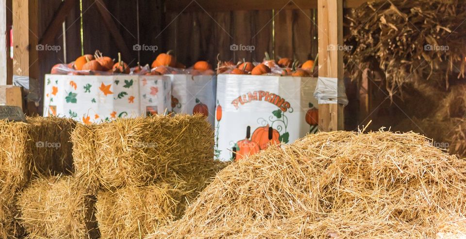 Pumpkin and hay