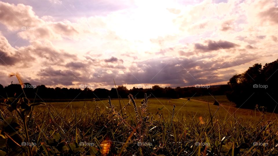 Sunset, Landscape, Field, Cropland, Sky