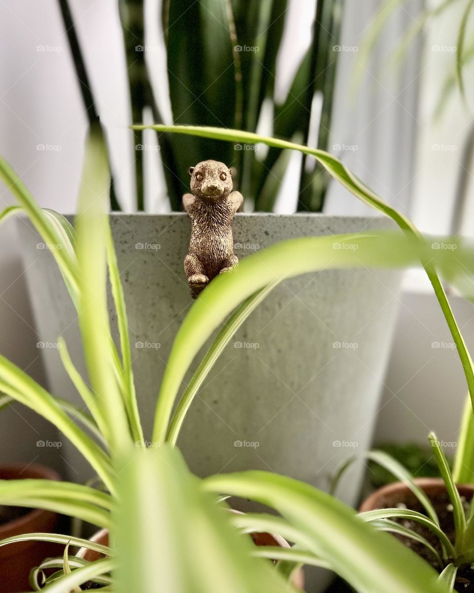 Small bronze figurine hanging onto a decorative plant pot with a snake plant inside. Apple iPhone 