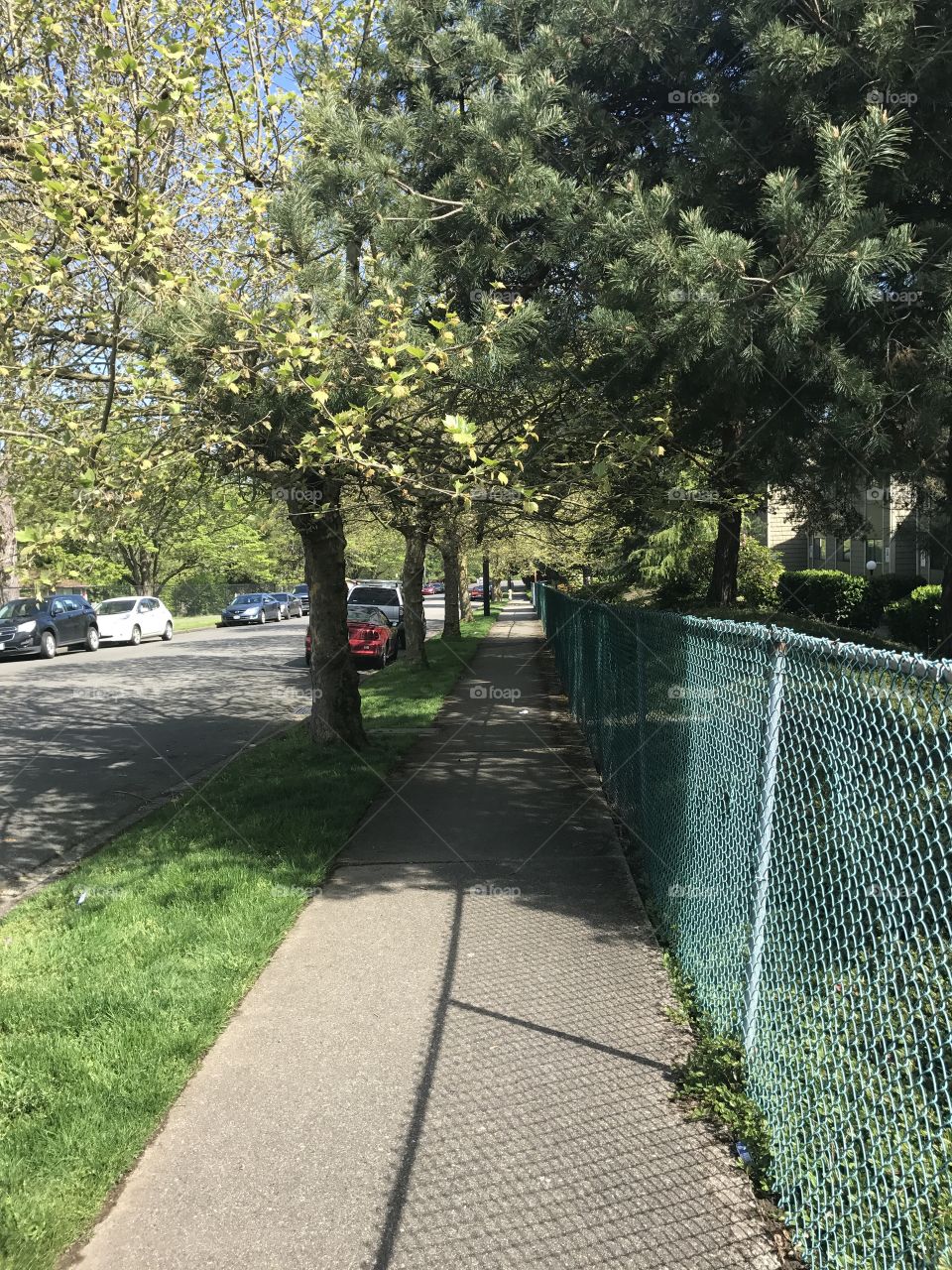 Just a sidewalk leading to my house in Renton, WA.