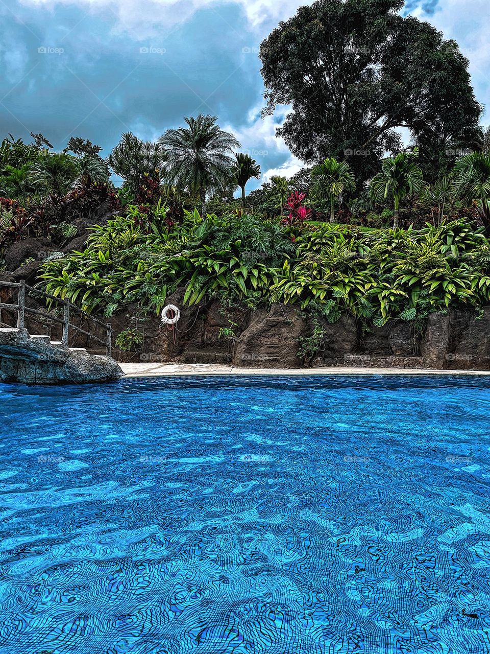 Colorful explosion in the tropics, colors of Costa Rica, vibrant colors of the country, colorful scenery in Costa Rica 