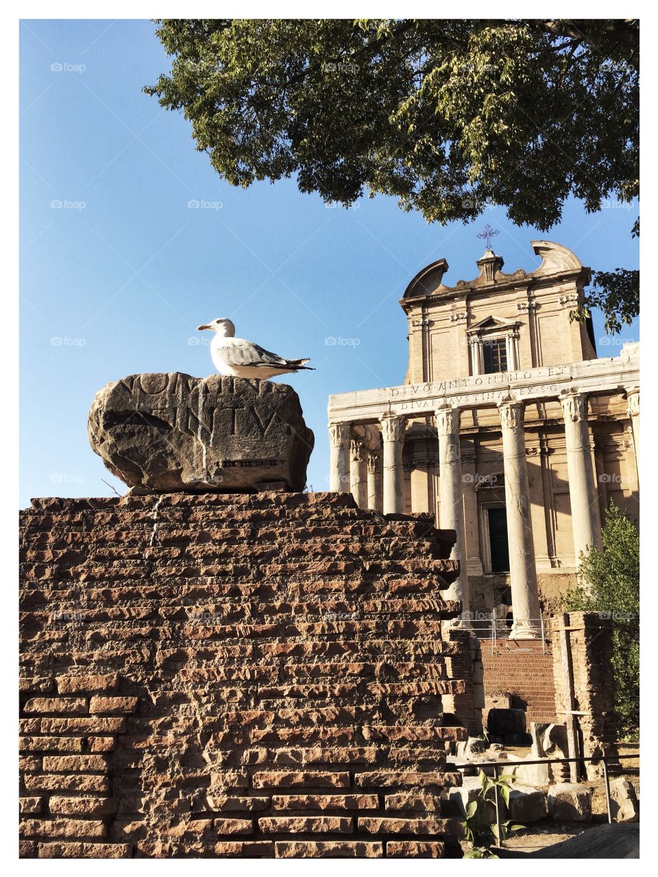 The Temple of Antoninus and Faustina 