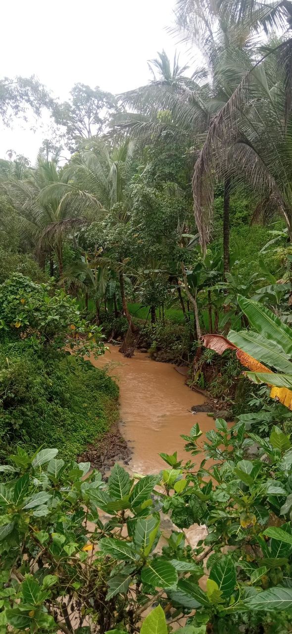 my river