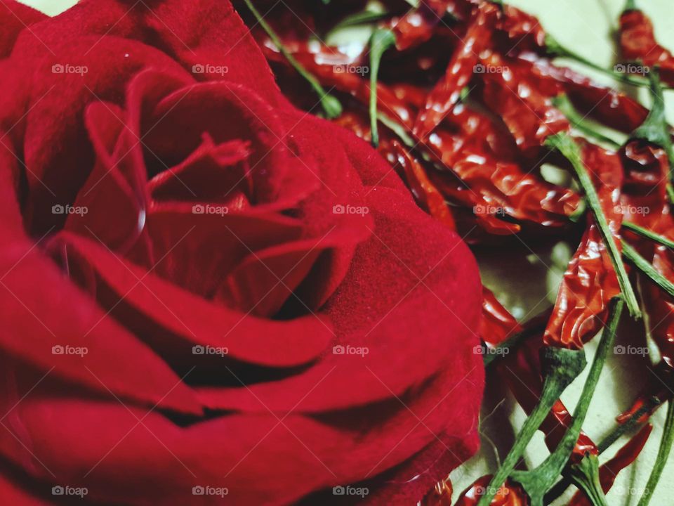 Spicy Rose