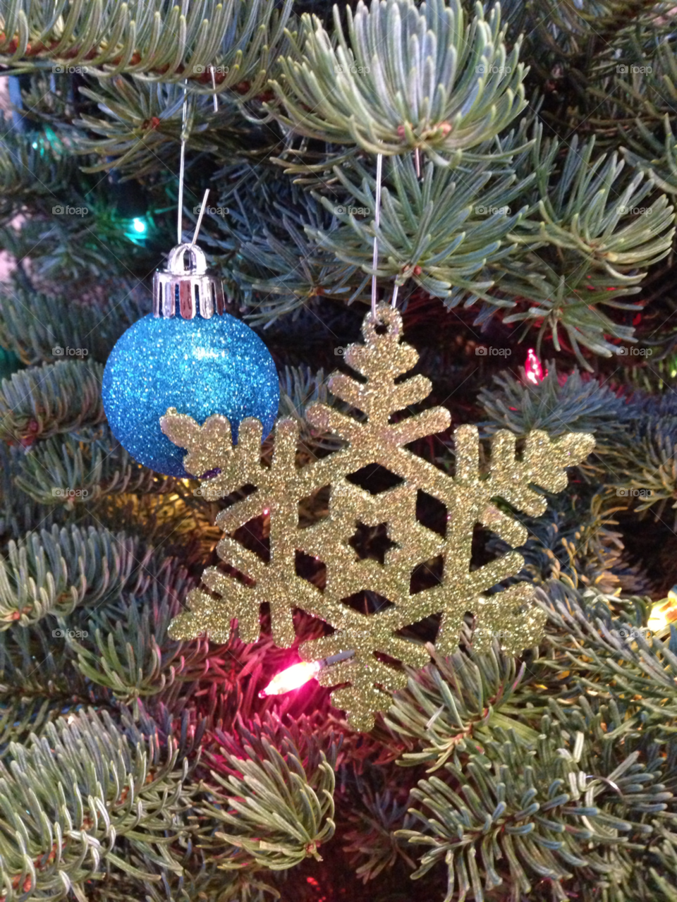 Christmas, Winter, Decoration, Tree, No Person