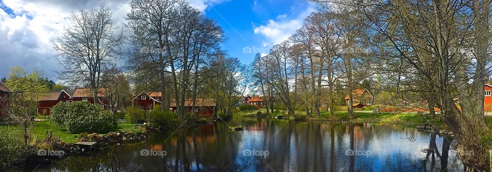 WIRA BRUK. nature landscape 