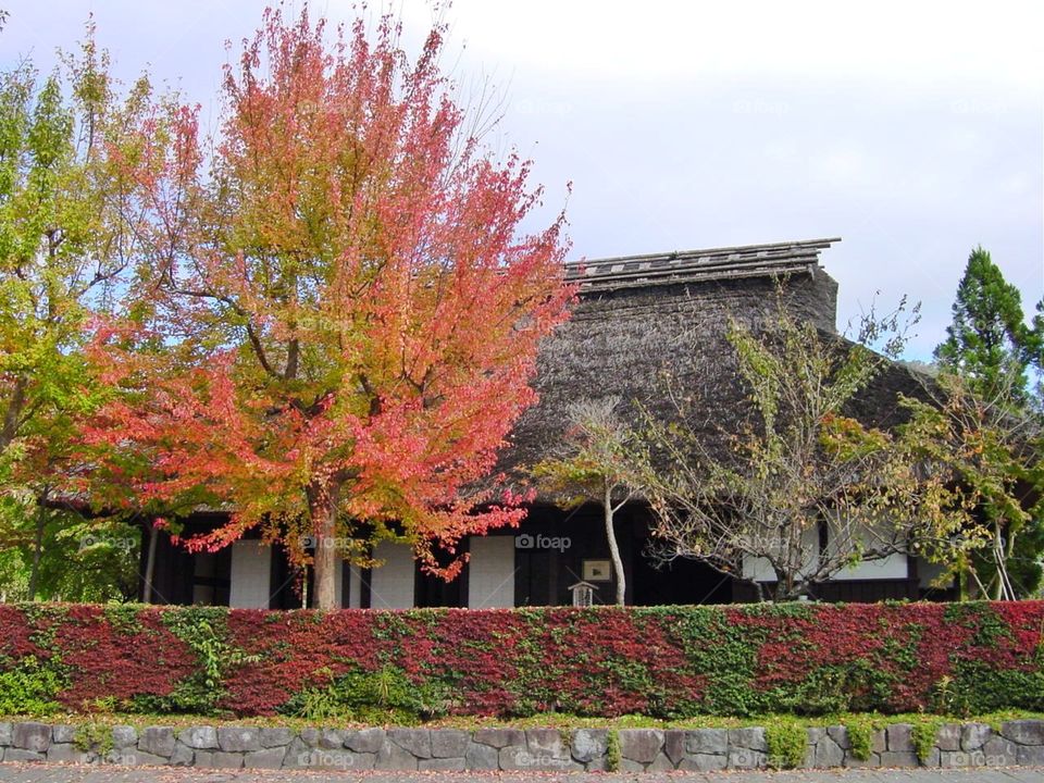 Traditional Japanese house