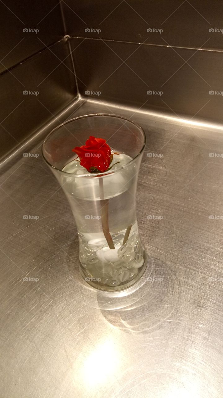 rose in a glass