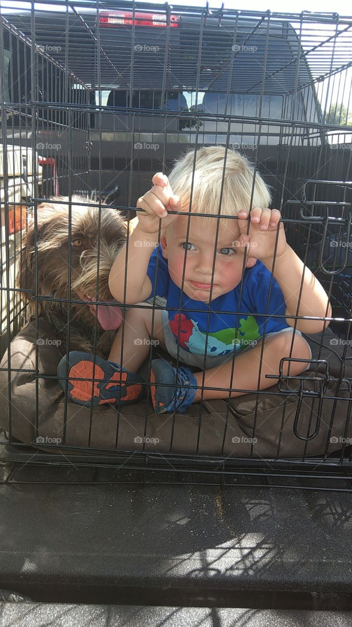 when the kids love the dogs more