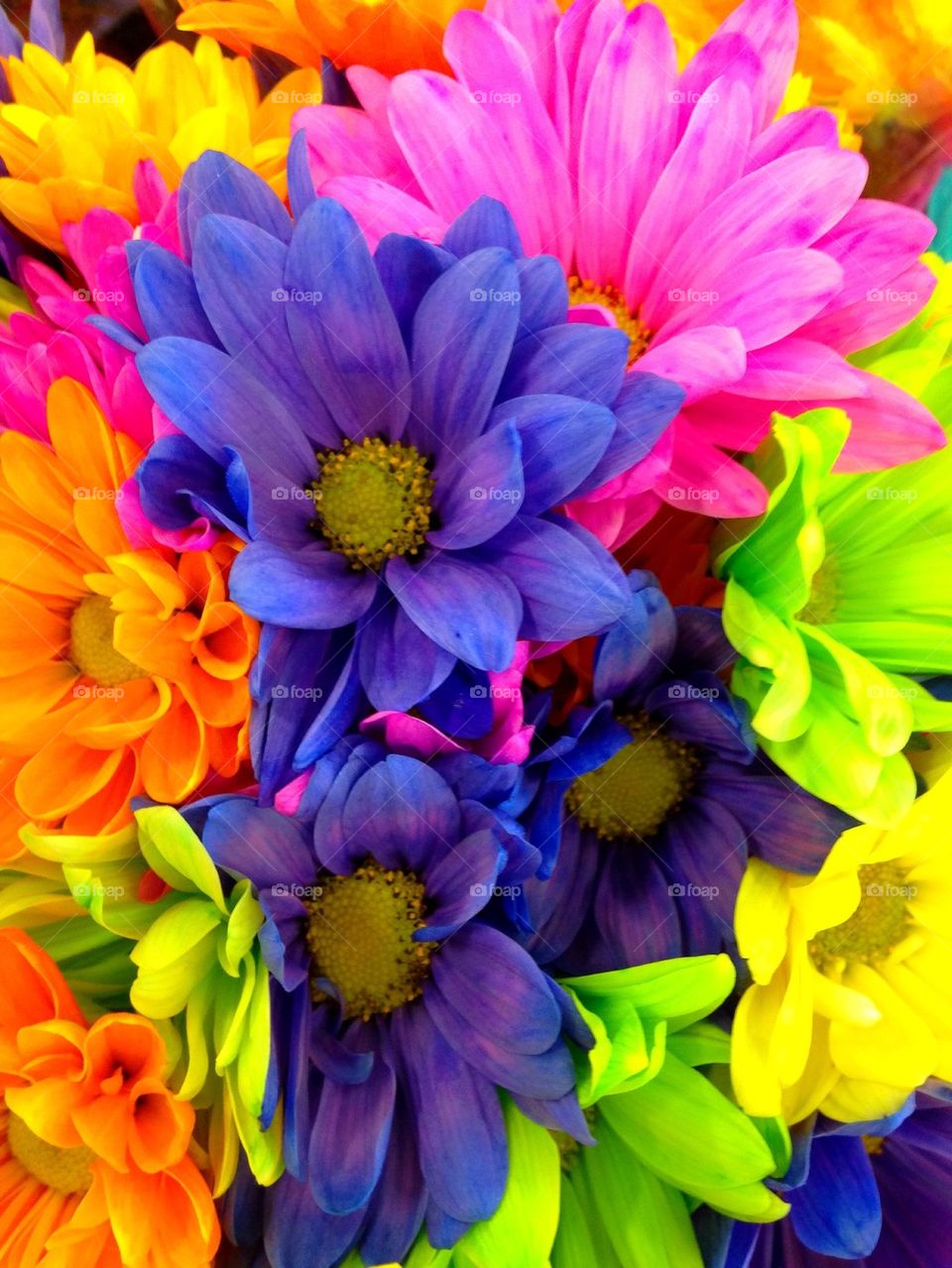 Vibrant Bouquet 