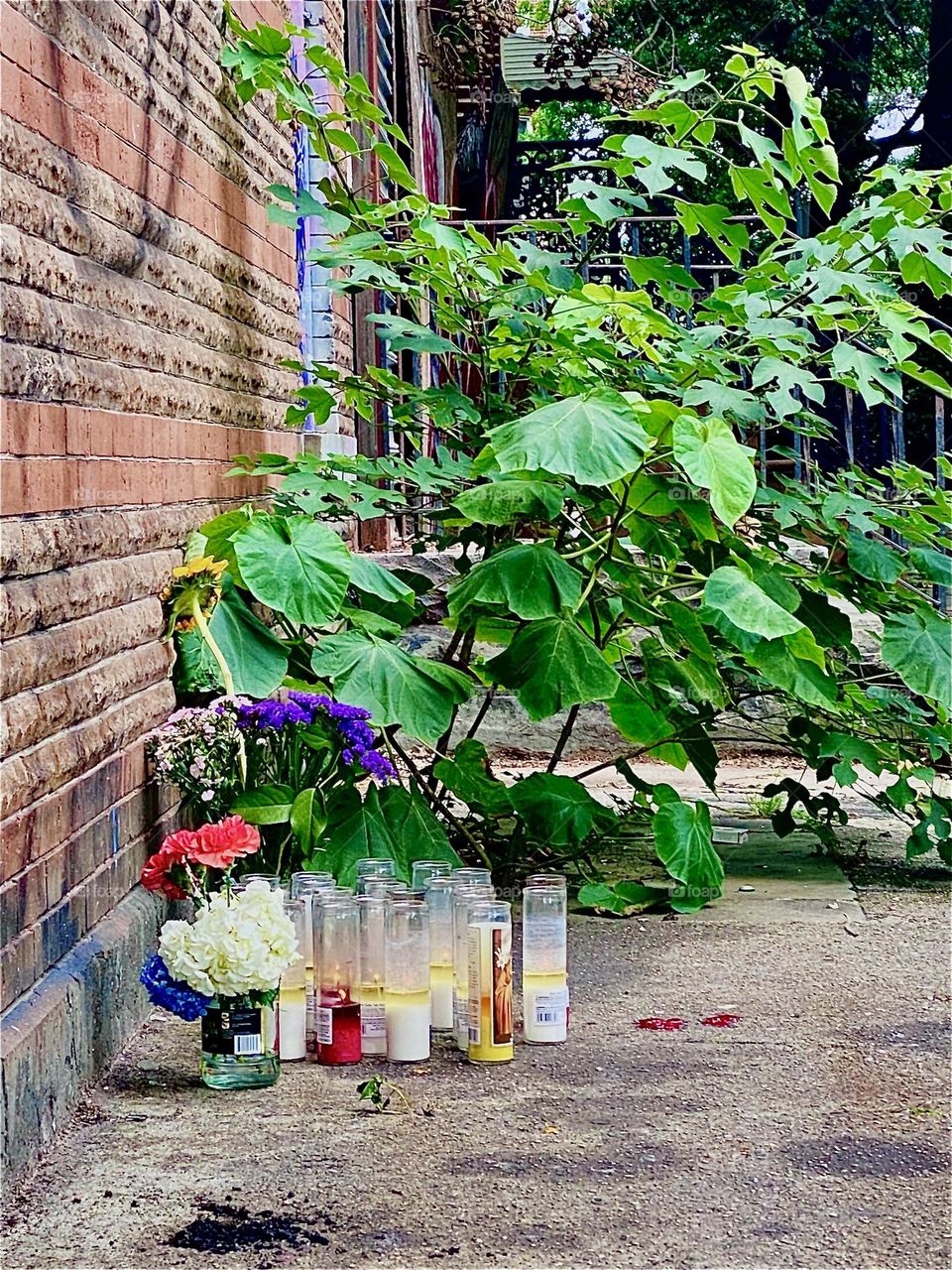 The candlelight vigil for „Nico“, a „Clinton Hill“, Bklyn personality who died of gunshot wounds several years ago is on again. Candles and a poster in his likeness have been placed on „Waverly Av“ by „Fulton St“. 2023. Hypnotic Productions