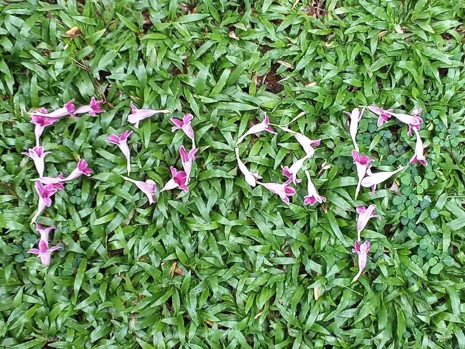 Natural design for Foap