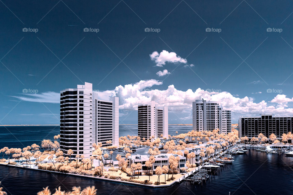 Sarasota In infrared