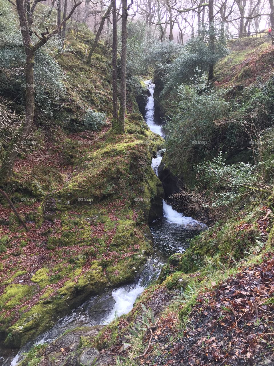 Irish waterfall 