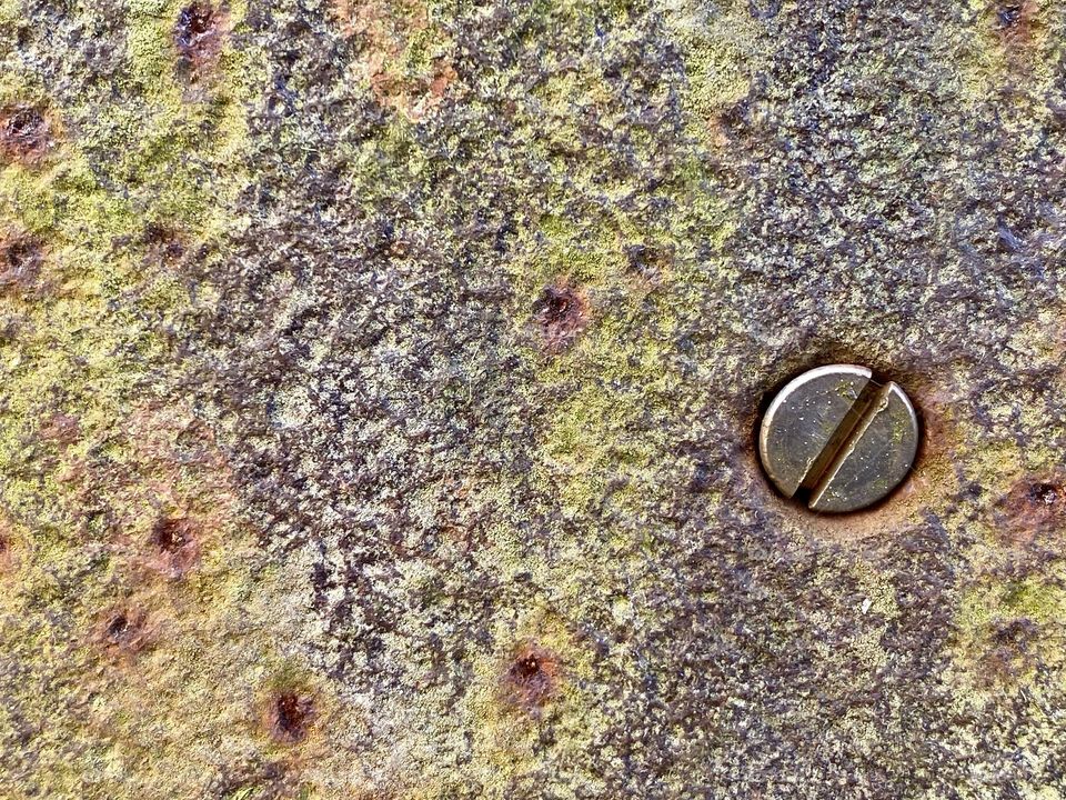 Beautiful colors on a piece of rusted metal