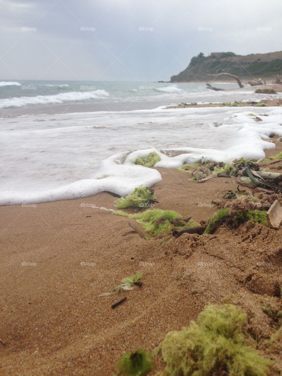 Surf at beach in summer