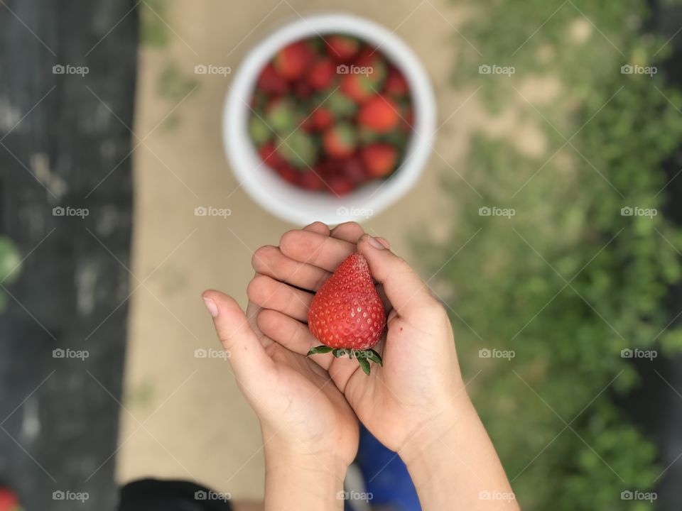 Strawberries 