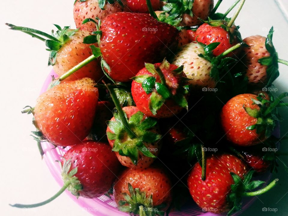 strawberry
fruit