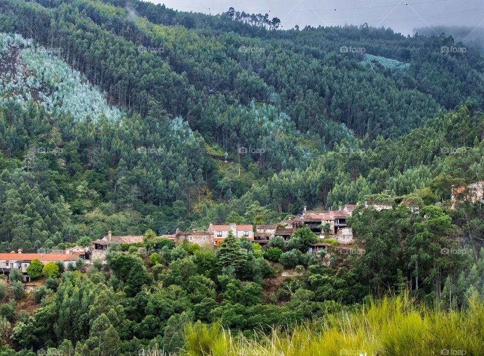 A schist village lines the hillside surrounded by green trees