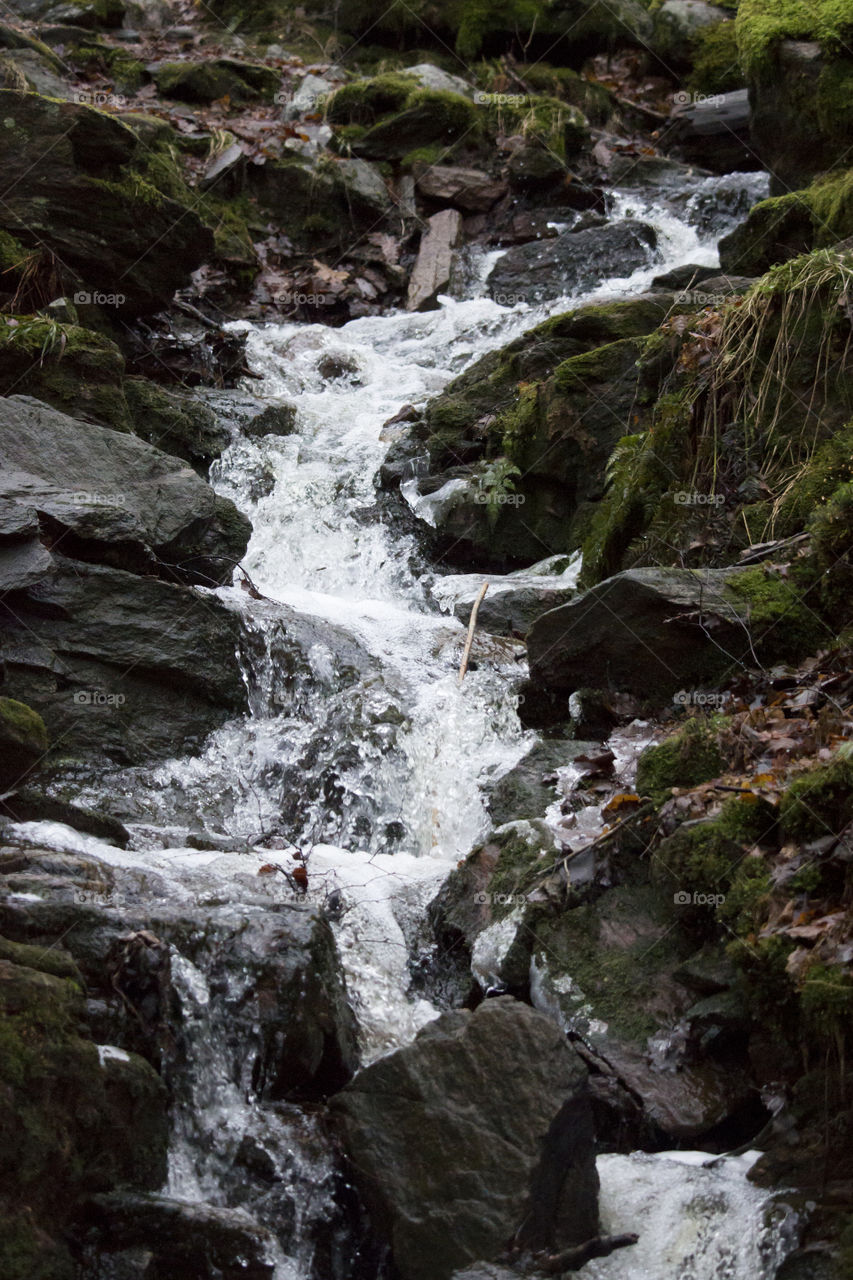 Creek waterfall in the forest 
