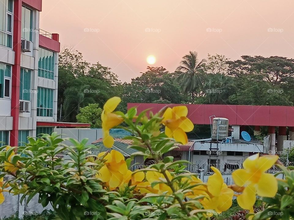 Beautiful summer morning in the town