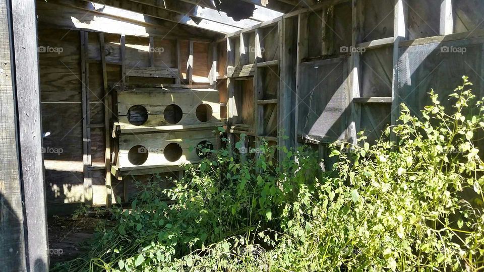 dilapidated henhouse. an old henhouse found on the lower 40