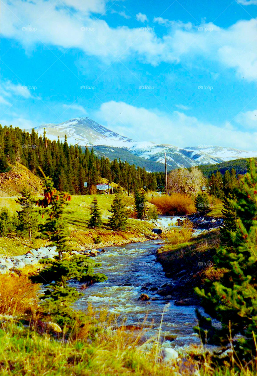 Wyoming Trout Stream in Autumn. Colorful Wyoming Mountain Trout Stream in Autumn