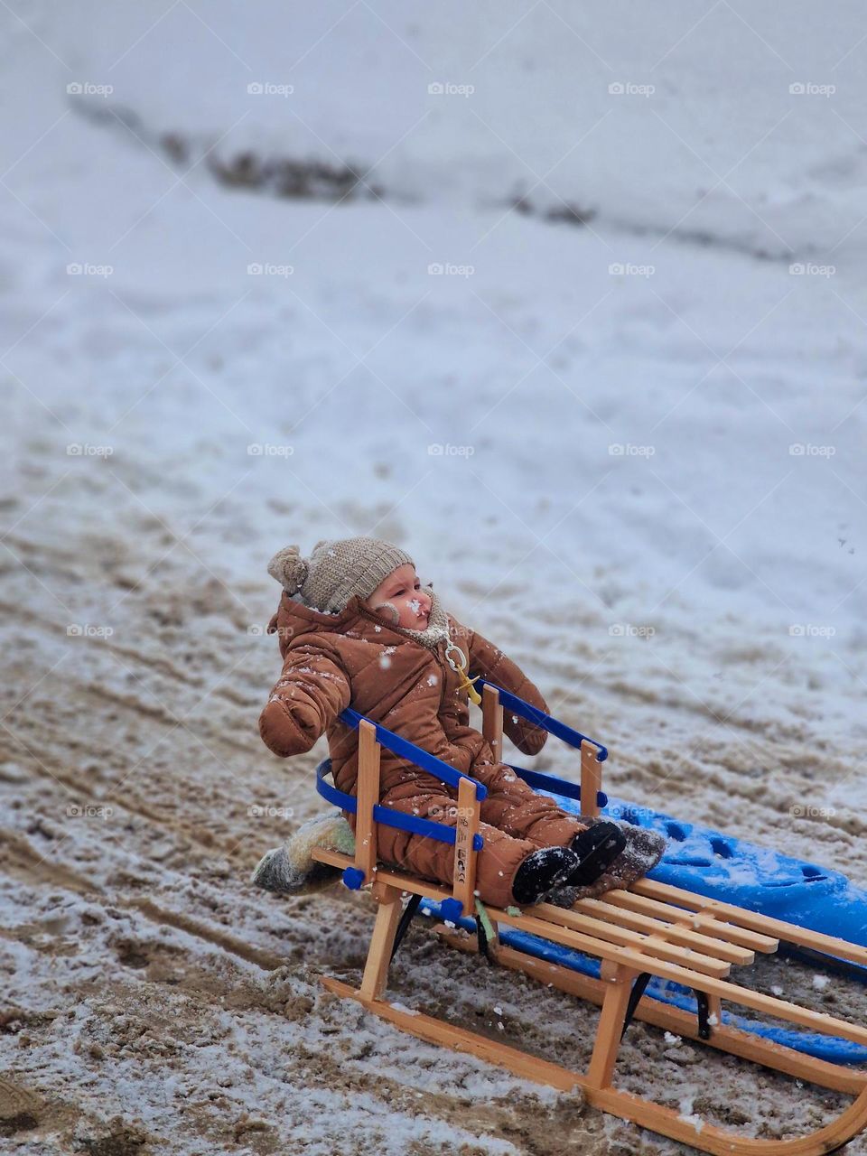 baby on the sled