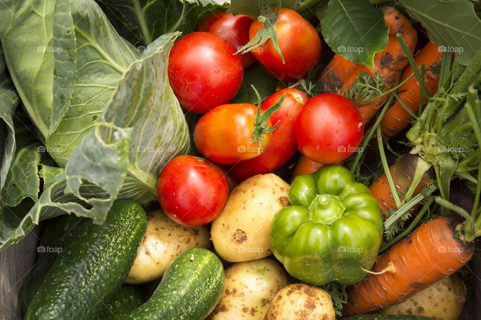 Fresh vegetables from garden