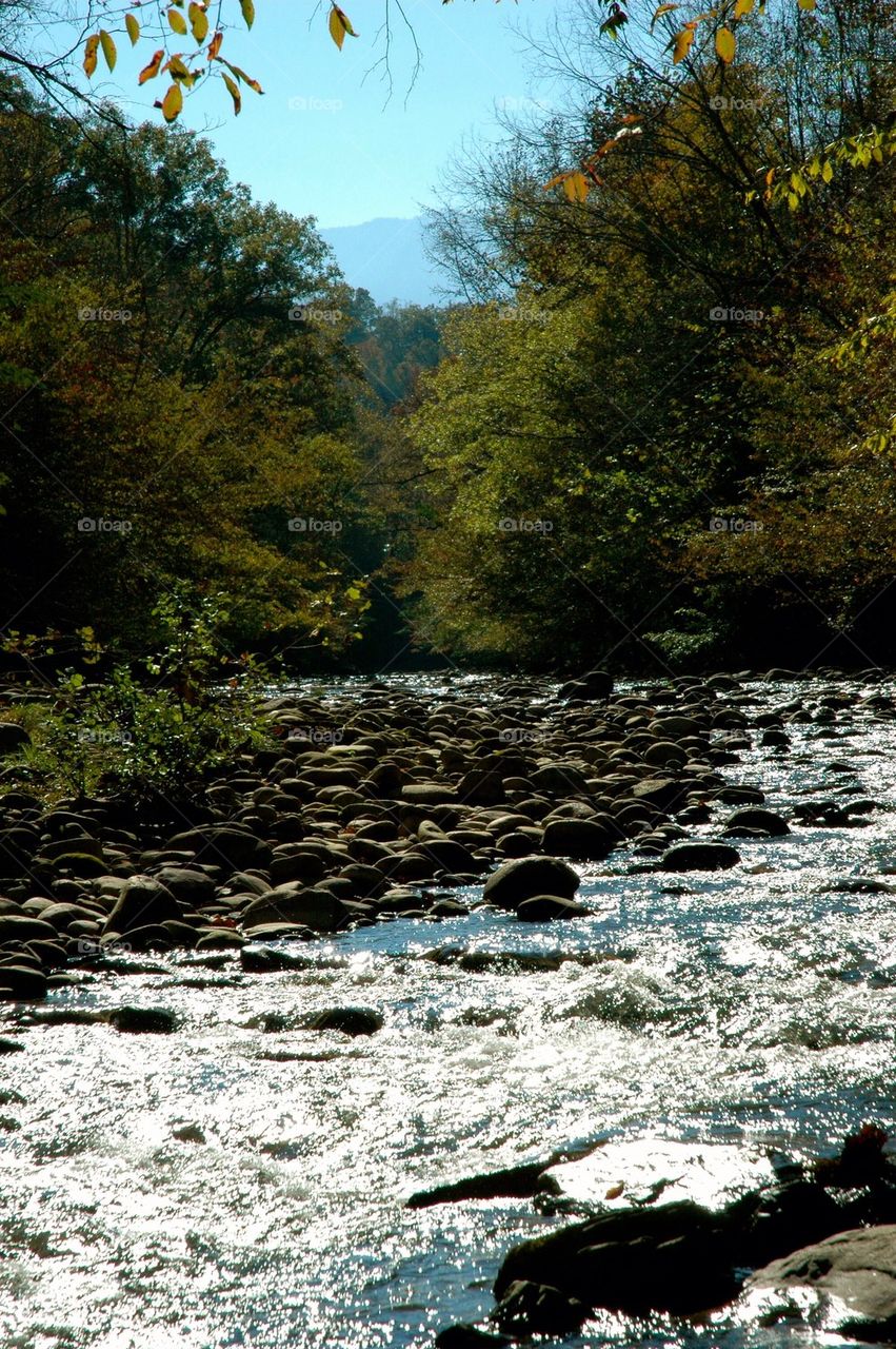 river rocks group1 by refocusphoto