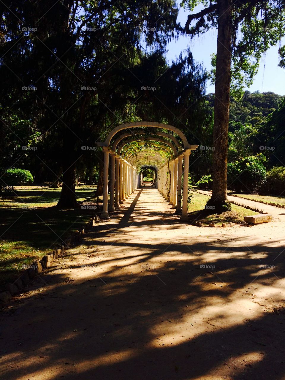 Archway in park