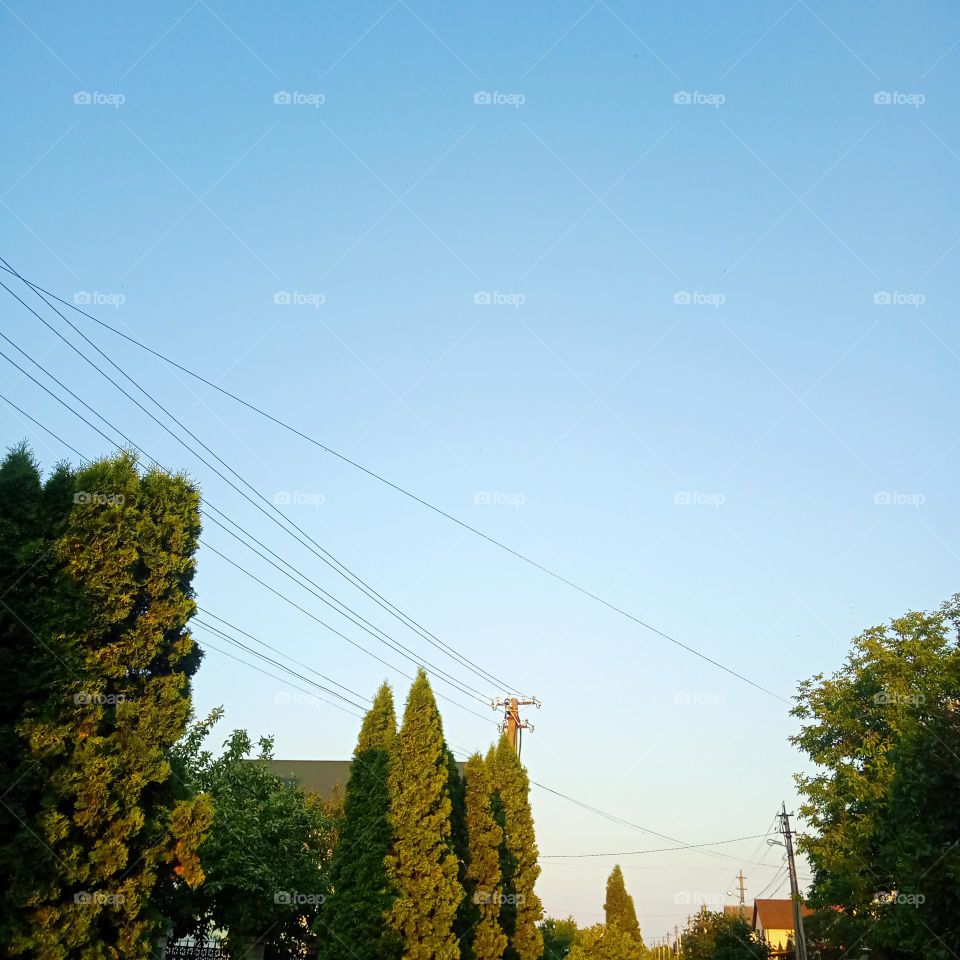 Street flooded with sunlight 📷💚☀️🌇