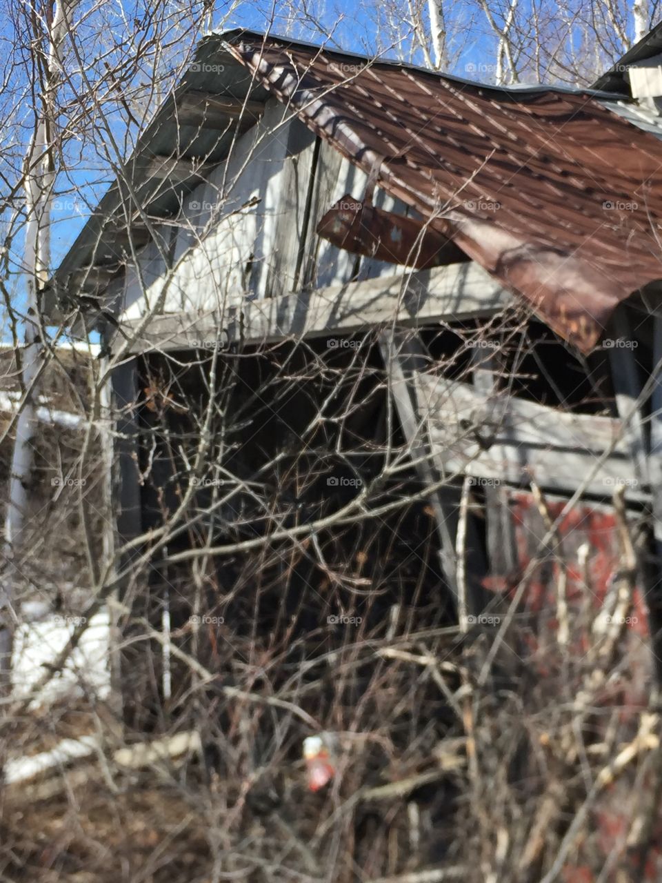 A Once upon a time working Saw Mill Now abandoned starting to fall down and weathered machinery still inside this lonely old building