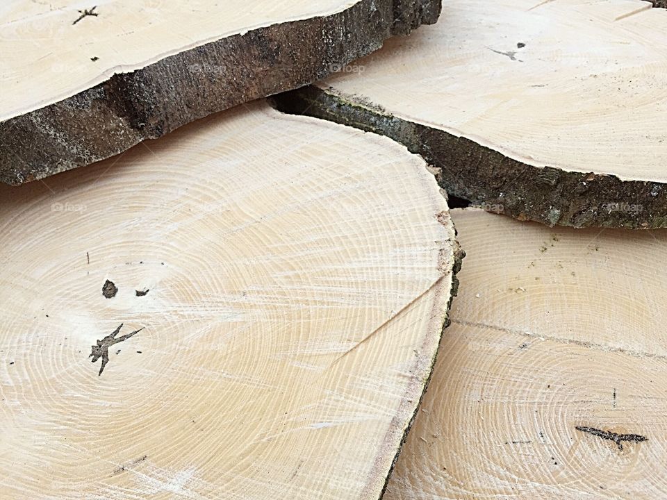 Close-up of cut wood