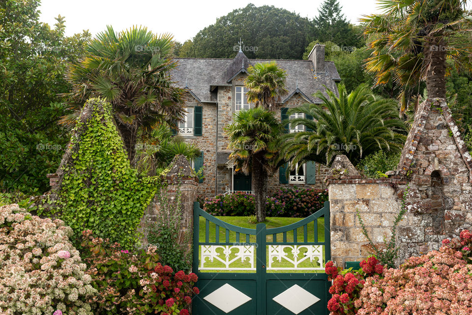 palm trees and an old house