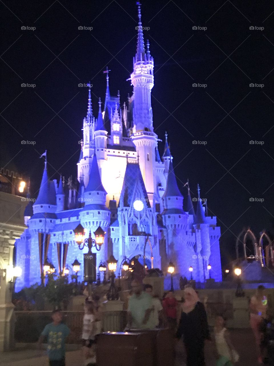 Disney World in Florida 