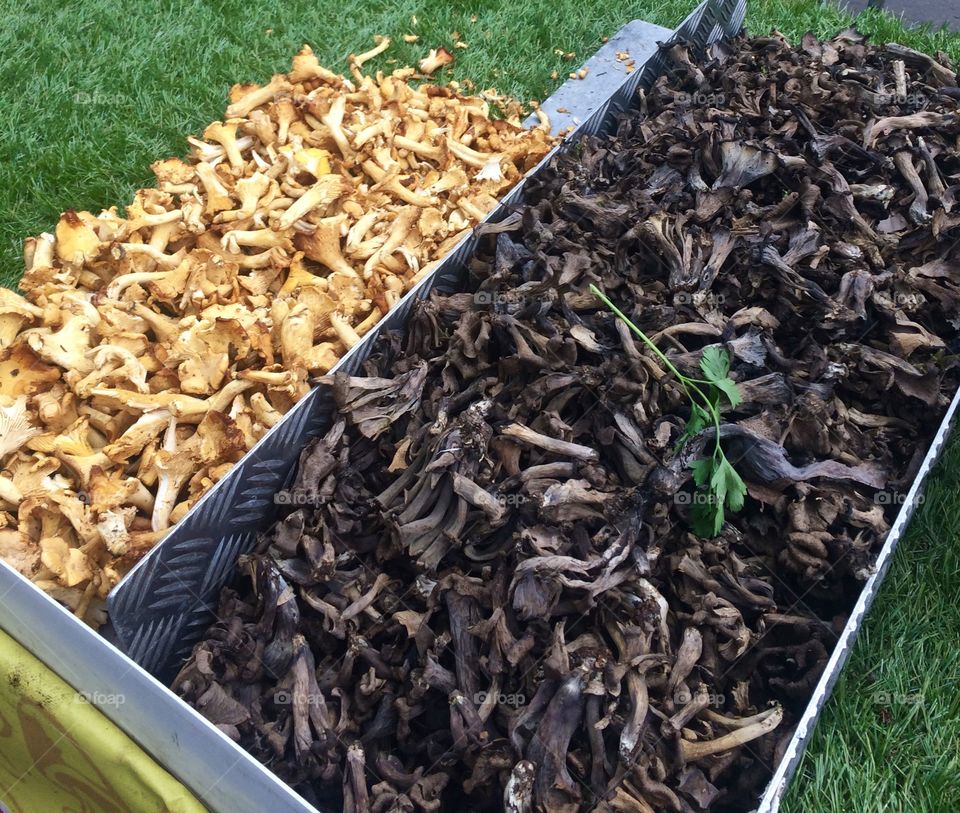 Mushrooms for sale in autumn