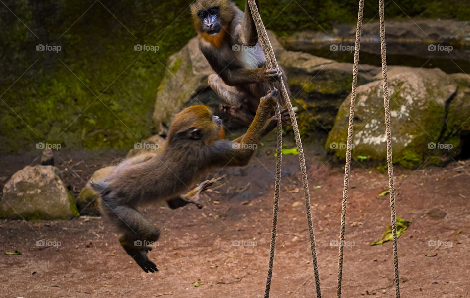 Playing and spending time together is the most fun.