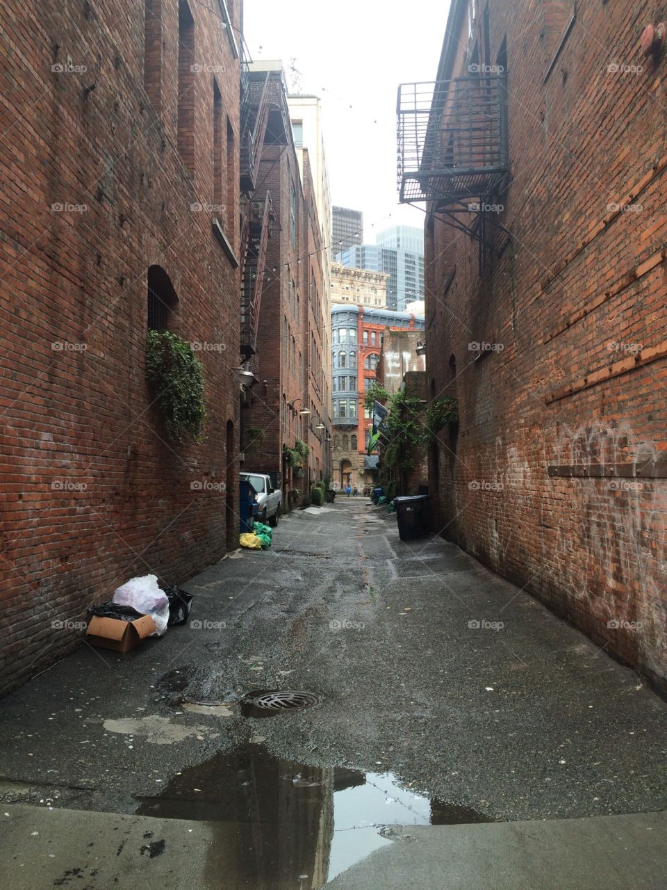 An alleyway in downtown Seattle.