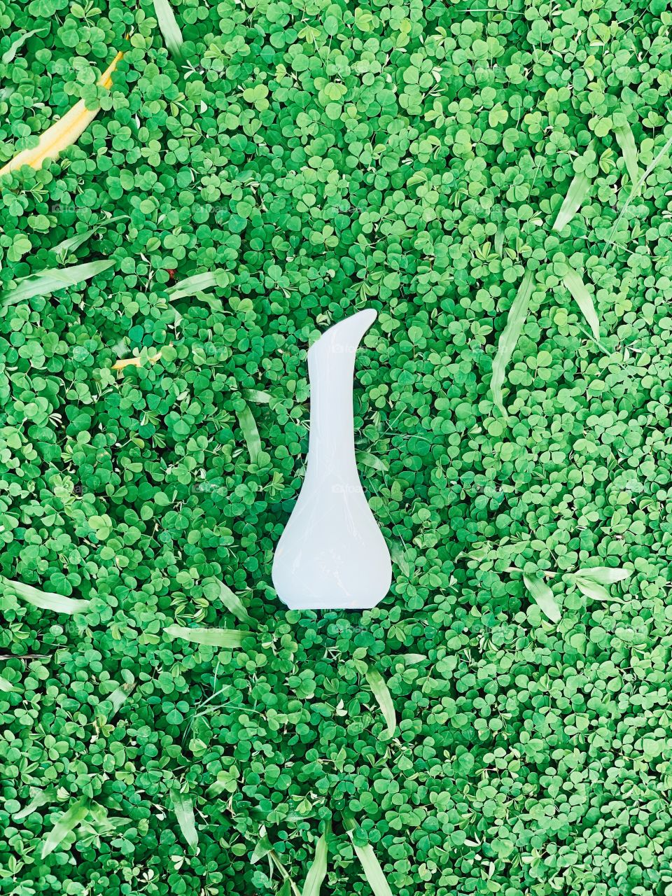 “A white porcelain on a green grass.”