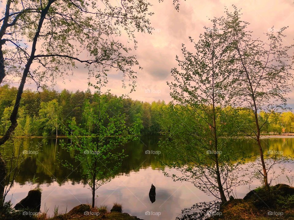 pink evening 🌆🌆