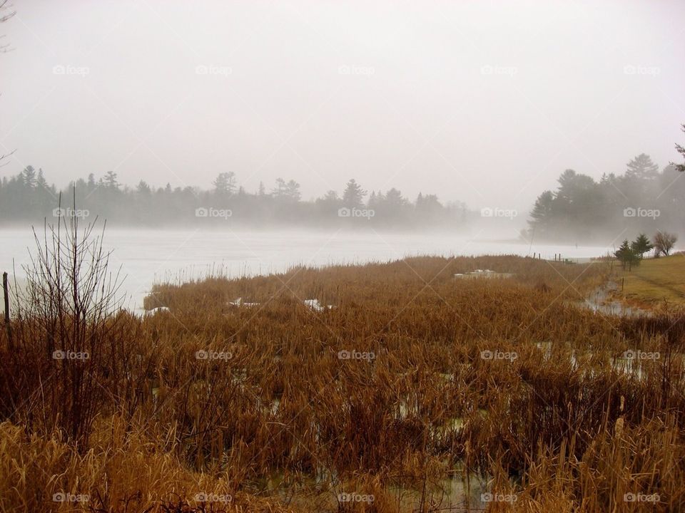 Mist over pond