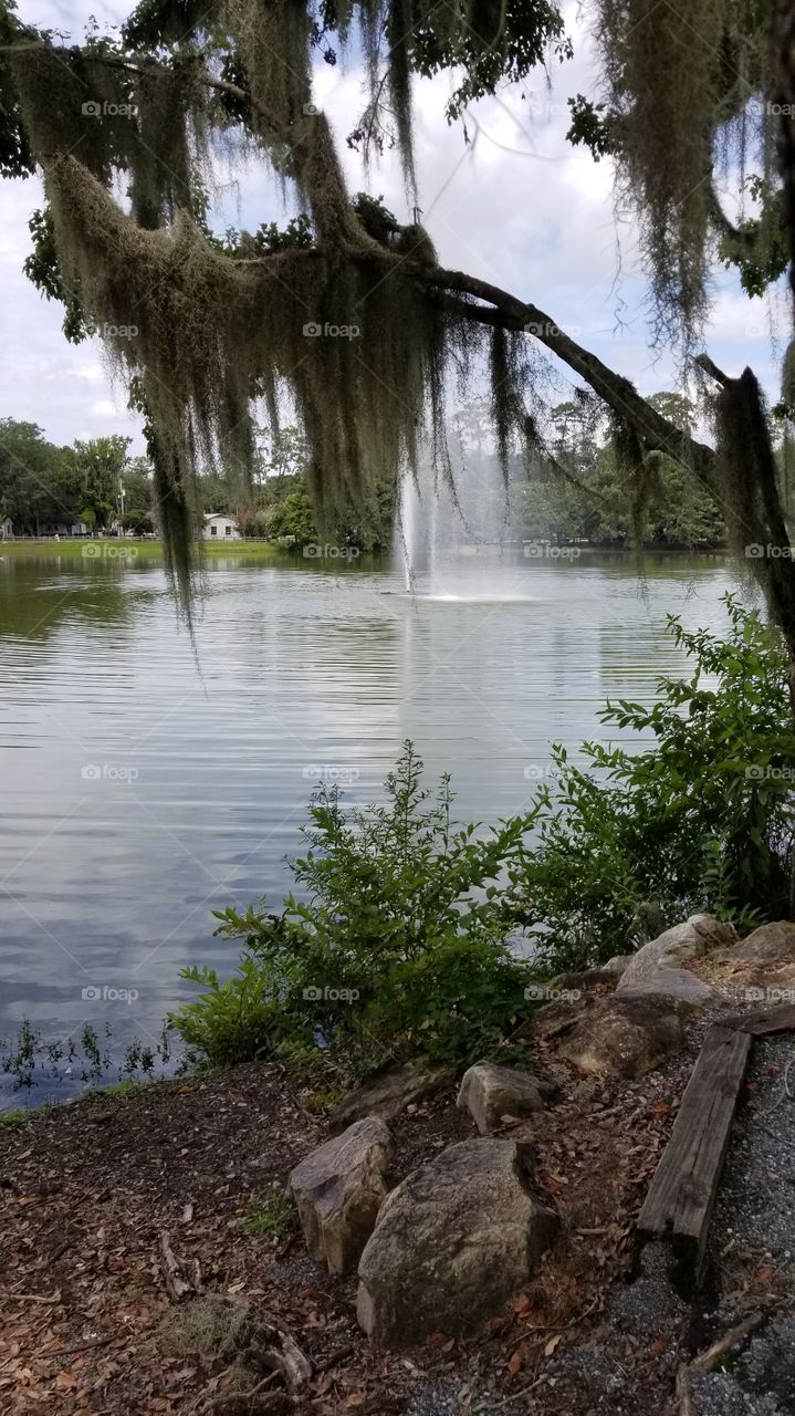 beautiful fountain at Lake Ella