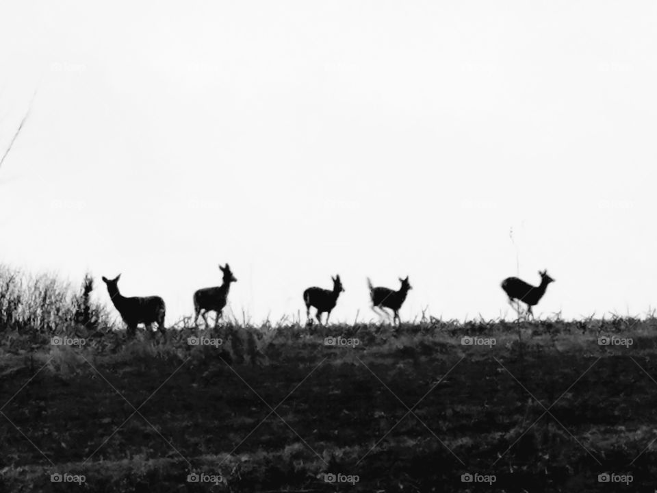 Driving the back Roads, Enjoying Nature